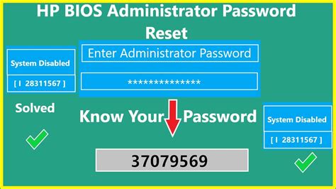 hp bios password reset.